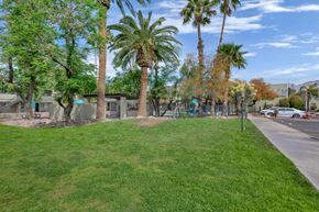 Tucson apartment for rent - A grassy area with palm trees and a building in the background.