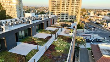 Lush live roof vegetation