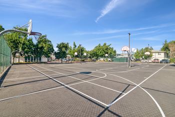 Basketball court