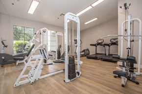 Tucson apartment for rent - A gym with a variety of equipment including a leg press machine.