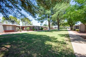 Tucson apartment for rent - A row of houses with green lawns and trees in front.