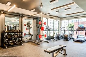 San Diego apartment for rent - A gym with a variety of equipment including weights, a bench, and a treadmill.