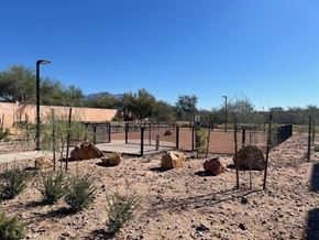 Tucson apartment for rent - A fenced area with rocks and sparse vegetation.