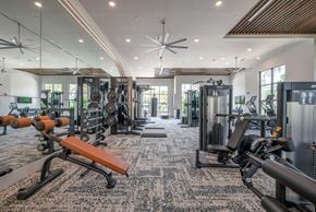 Winter Garden apartment for rent - A gym with a variety of equipment including weights and machines.