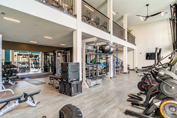Free weights & agility equipment