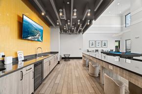 Allen apartment for rent - A modern kitchen with a long counter and a painting hanging above it.