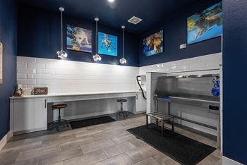 Pet spa