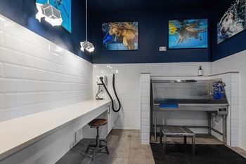 Pet spa