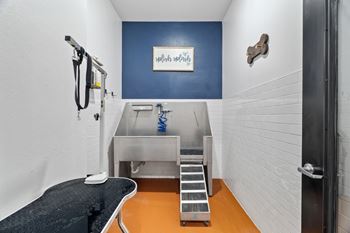 Indoor pet spa