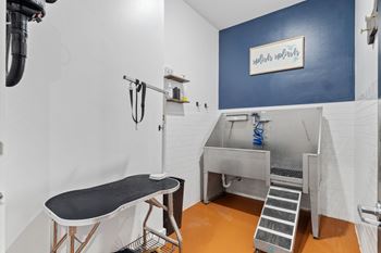 Indoor pet spa