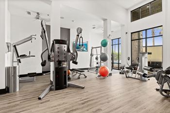 Free weights & agility equipment