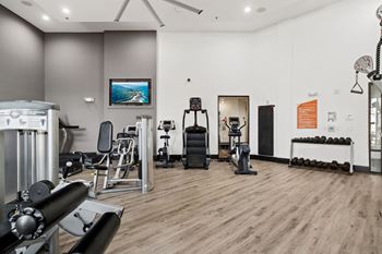Free weights & agility equipment