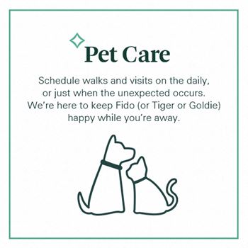 Lifestyle services