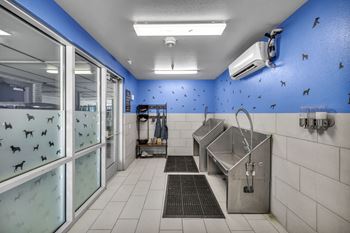 Pet spa