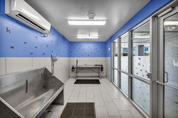 Pet spa