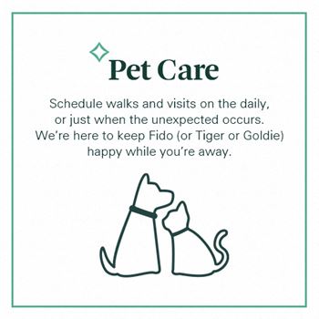 Lifestyle services provided by spruce