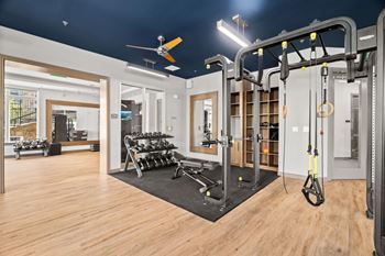 Free weights & agility equipment