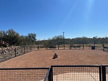 Pet friendly community with private dog park