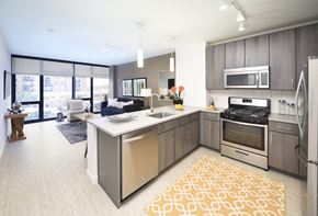 Evanston apartment for rent - a kitchen with an island and stainless steel appliances