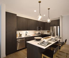 Vernon Hills apartment for rent - a kitchen with a large island and a stainless steel refrigerator