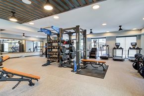 Milwaukee apartment for rent - A gym with a variety of equipment including weights and cardio machines.