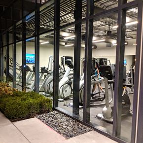 Chicago apartment for rent - Outdoor view of the gym with multiple workout equipment facing large windows.