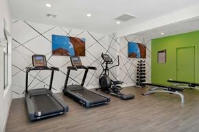 Mesa apartment for rent - A gym with treadmills, elliptical machines, and a rowing machine.