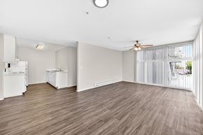 San Diego apartment for rent - Apartment living room with beautiful natural light, wood-style plank flooring, ceiling fan, and view to kitchen.