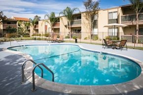 La Mesa apartment for rent - Swimming pool with palm trees and views of tan community exterior.