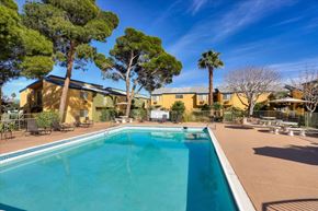 Las Vegas apartment for rent - Beautiful pool and sundeck with trees and community exterior in background.