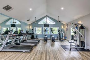 Tampa apartment for rent - A spacious gym with treadmills, exercise bikes, and other equipment.