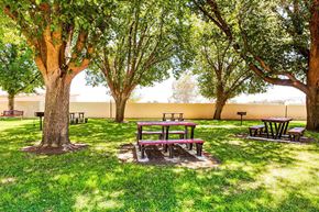 Coalinga apartment for rent - A picnic area with tables and benches under trees.