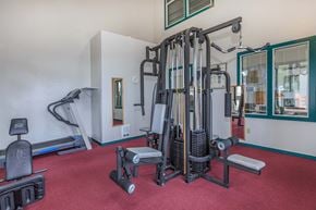 Des Moines apartment for rent - Fitness center with weight machines, cardio machines, and vibrant red carpet.