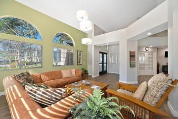 Escondido apartment for rent - A living room with a couch and a potted plant.