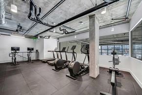 San Diego apartment for rent - A gym with a variety of equipment including treadmills, weights, and exercise bikes.