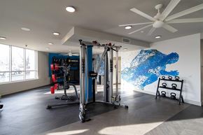 Sacramento apartment for rent - A gym with a blue and white wall mural and a variety of equipment.