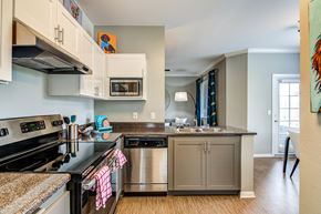 Oceanside apartment for rent - a kitchen with granite countertops and stainless steel appliances