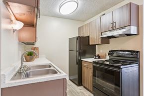 Colorado Springs apartment for rent - A kitchen with a black refrigerator and stove.