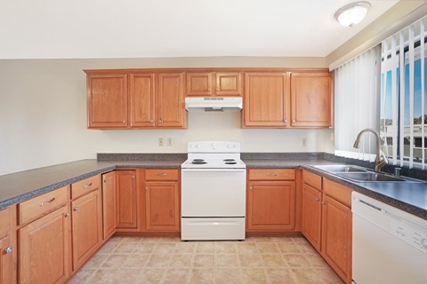 Floor plan for studio, 1 bath, 425 sqft
