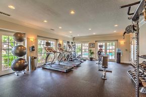 Bonita apartment for rent - A spacious gym with treadmills, exercise balls, and weightlifting equipment.