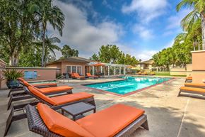 Bonita apartment for rent - A pool area with sun loungers and a building in the background.