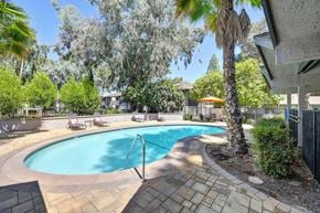 Redlands apartment for rent - Pinewood's pool surrounded by trees and lounging chairs.