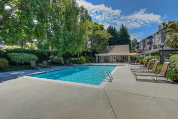 San Diego apartment for rent - A swimming pool surrounded by trees and lounge chairs.