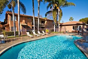 Vista apartment for rent - A swimming pool with chaise lounge chairs and palm trees