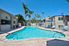 Oceanside apartment for rent - A swimming pool surrounded by lounge chairs and palm trees.