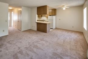 Lakeside apartment for rent - A kitchen area with a refrigerator, sink, and cabinets.