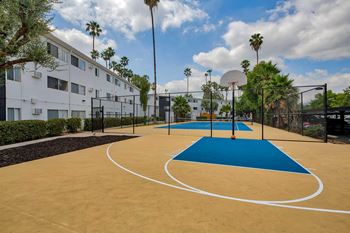 Basketball court