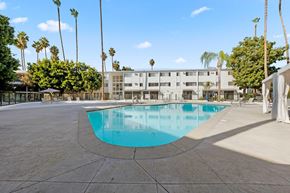 Sherman Oaks apartment for rent - A swimming pool in a courtyard surrounded by palm trees and the community's white building.