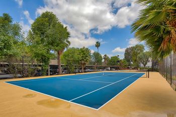 Tennis court