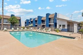 Mesa apartment for rent - A bright outdoor swimming pool surrounded by lounge chairs and greenery.